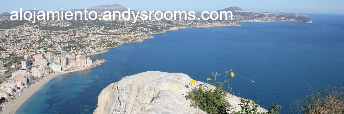 alojamiento.andysrooms.com